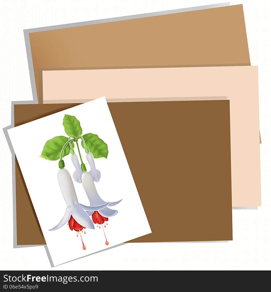 This bouquet of white flowers, red on white card And several brown papers. This bouquet of white flowers, red on white card And several brown papers.