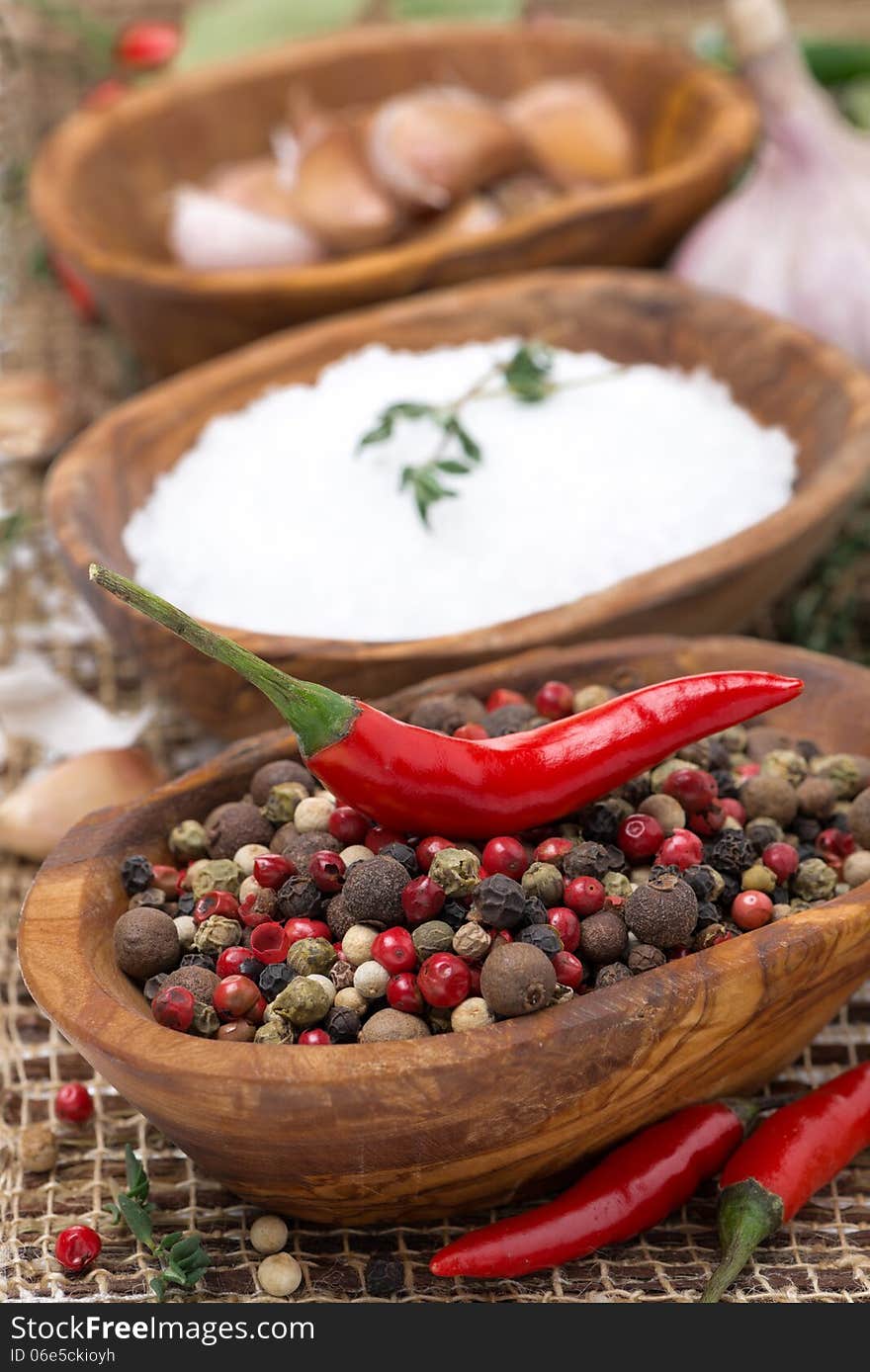 Hot pepper, sea salt and spices in bowls, close-up