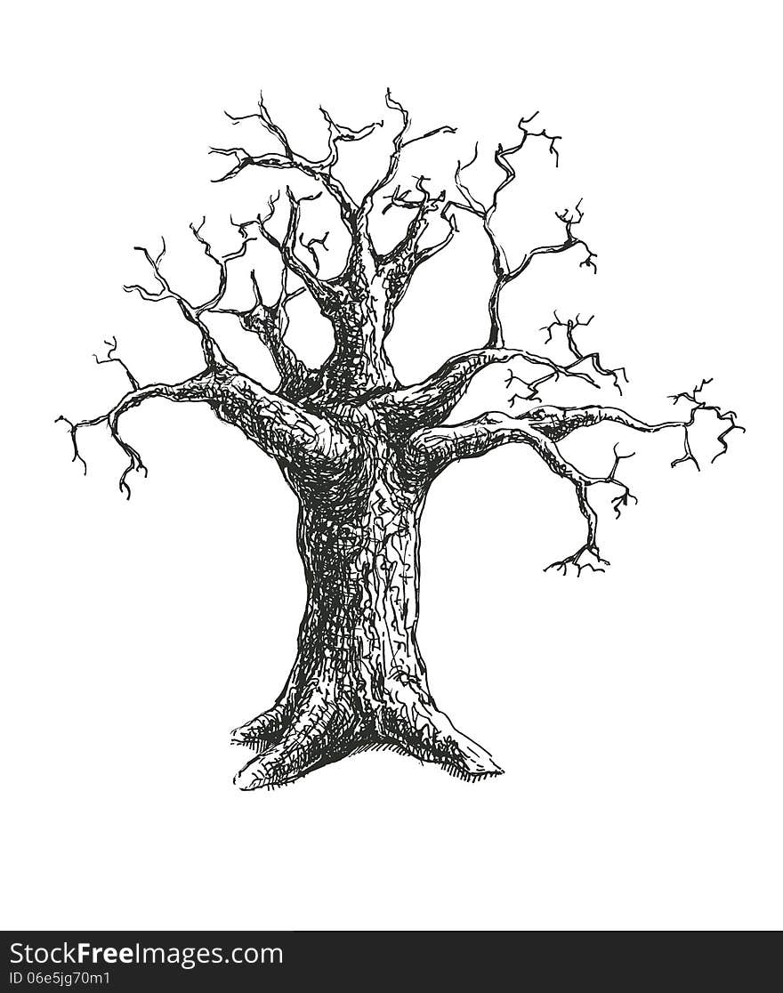 Tree vector illustration design. eps8