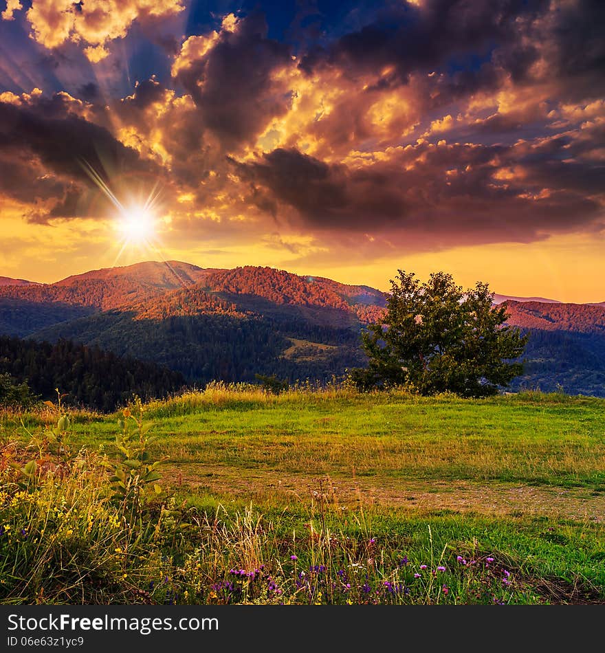 Rays of the rising sun on top of a high mountain. Rays of the rising sun on top of a high mountain