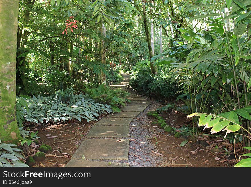 Concrete pathway in the Botanical Garden, Hawaii. Concrete pathway in the Botanical Garden, Hawaii.