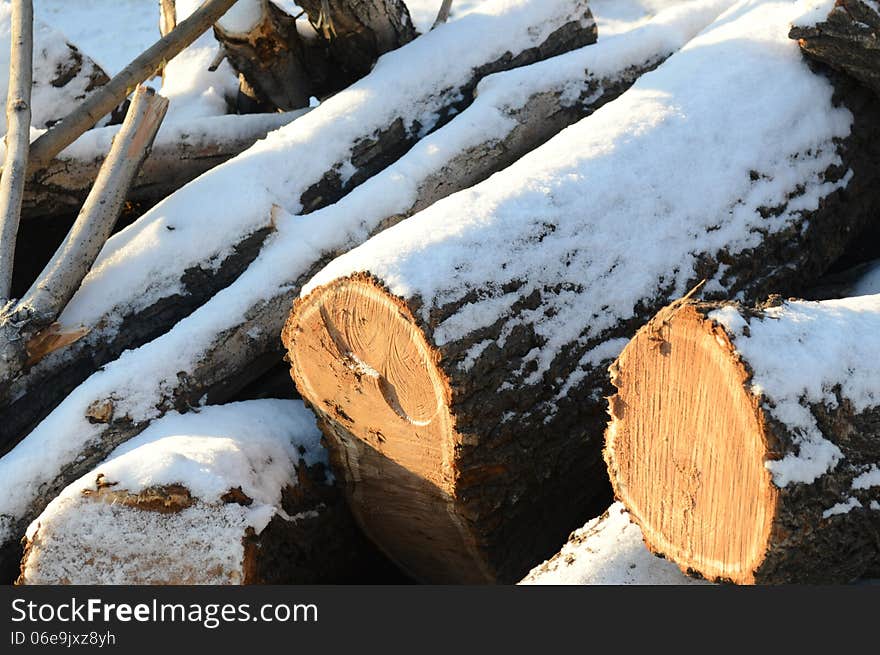 piles of logs in the snow