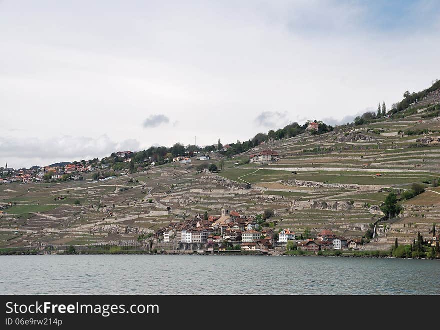 A view of the village from the vine terraces