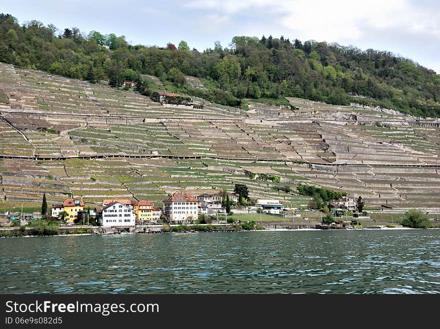 A view of the village from the vine terraces