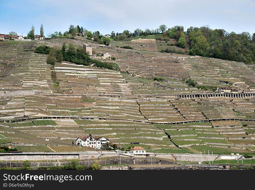 A view of the village from the vine terraces, Switzerland.