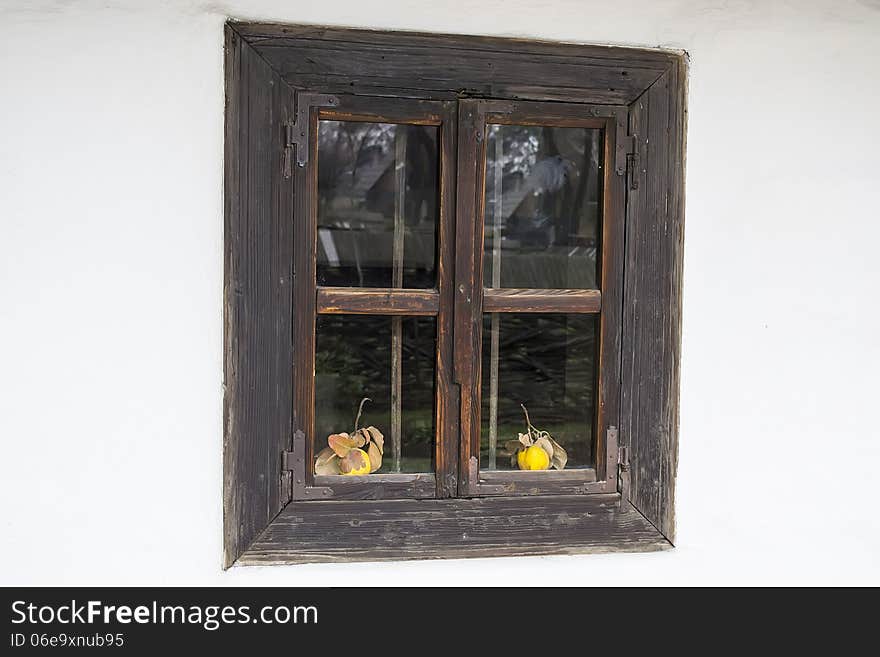 Old window with two quinces