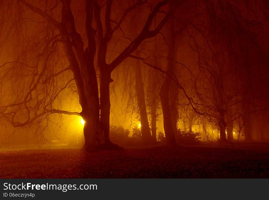 The photograph shows the park at night. Prevailing light illuminates the darkness around the park lamps. Large trees cut a shadow on the background lights. Park is immersed in a dense fo. The photograph shows the park at night. Prevailing light illuminates the darkness around the park lamps. Large trees cut a shadow on the background lights. Park is immersed in a dense fo