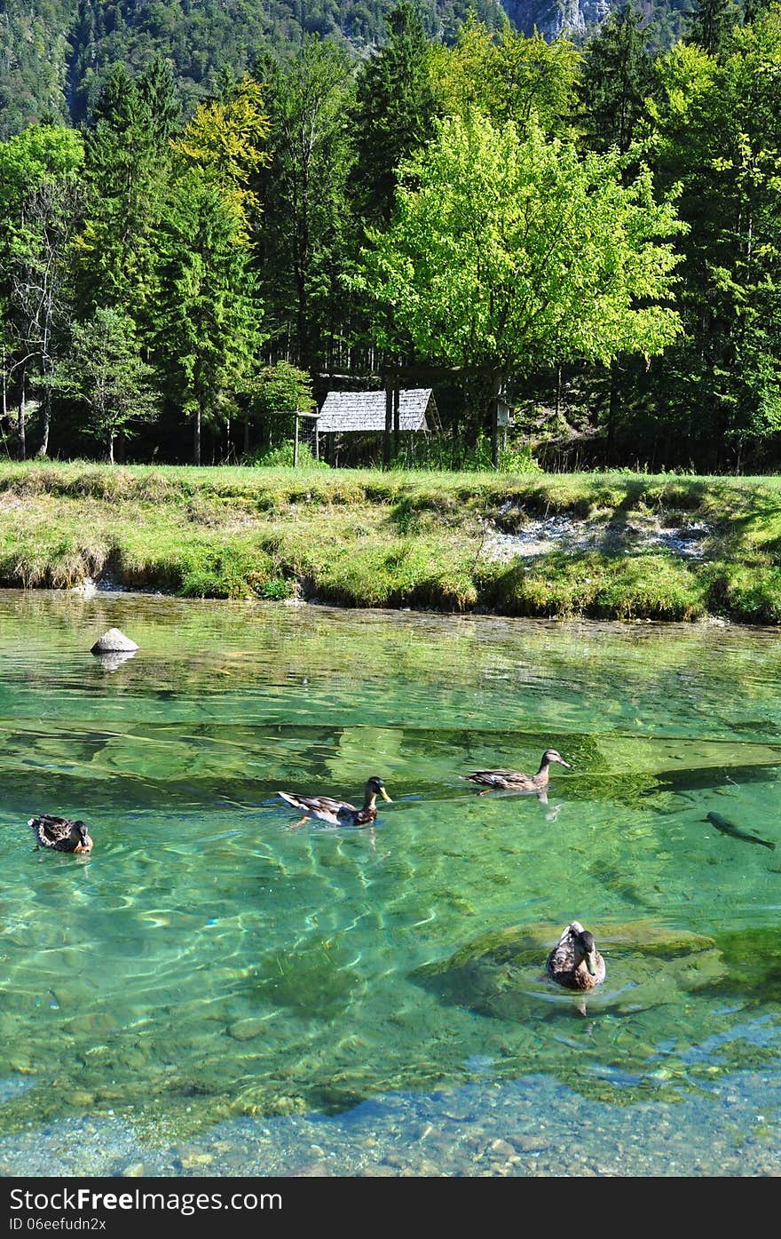 Wooden boat submerged under water. Salzkammergut. Austria