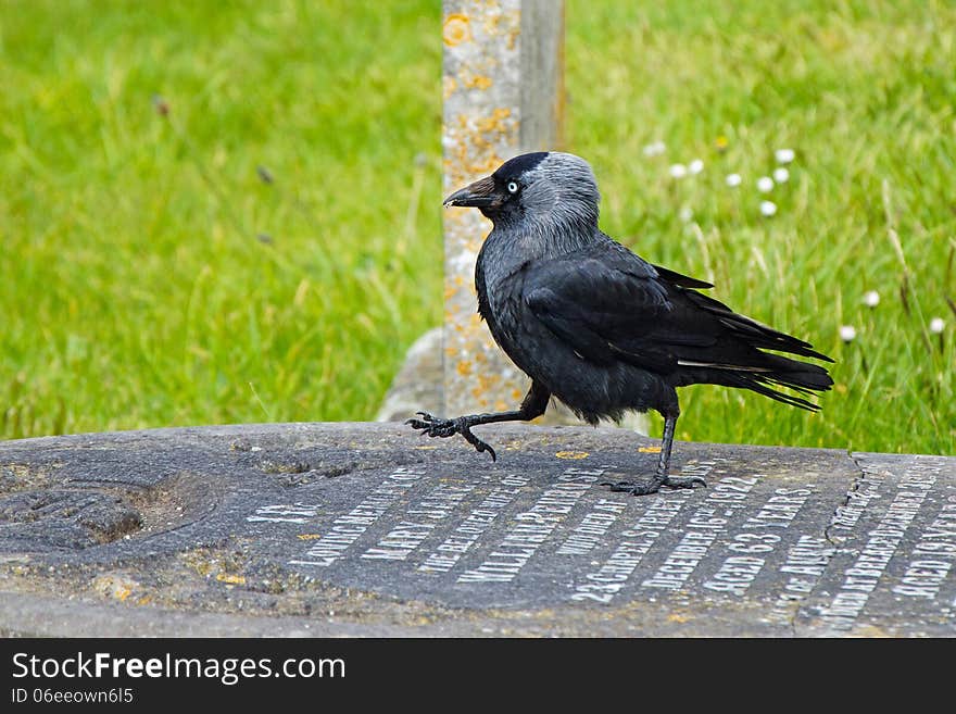 Grave Dancing