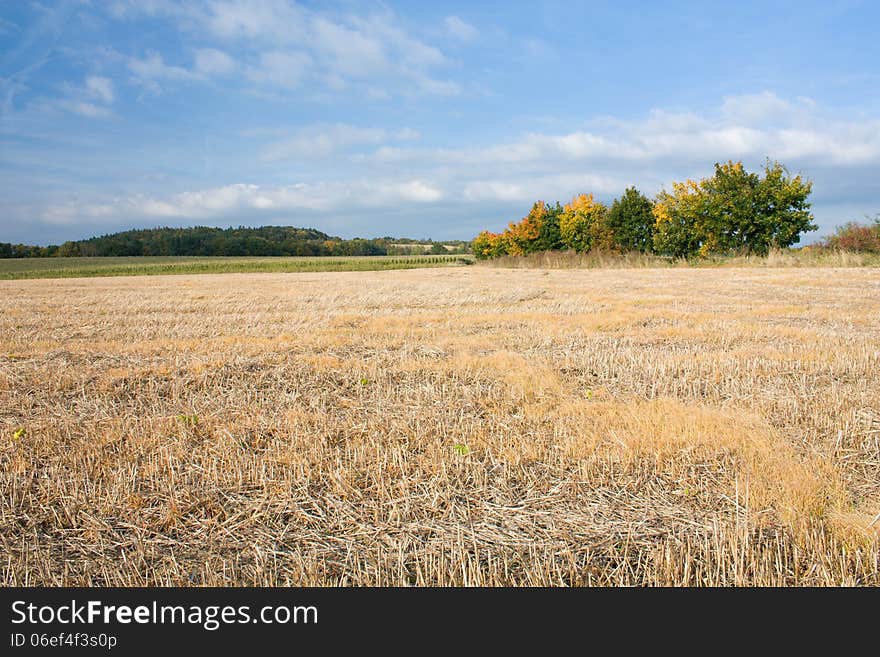 Harvested Field