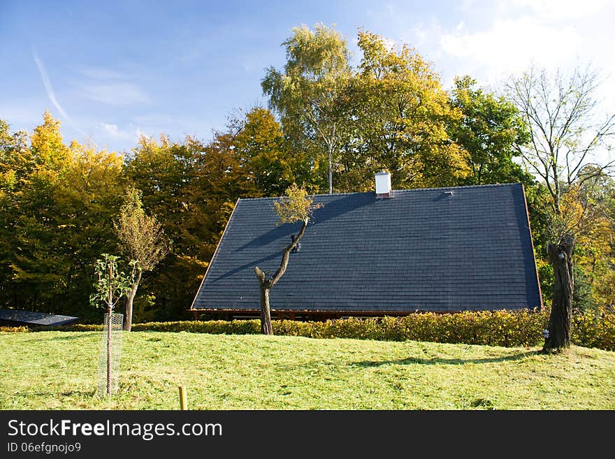 Roof cottage with colored trees around