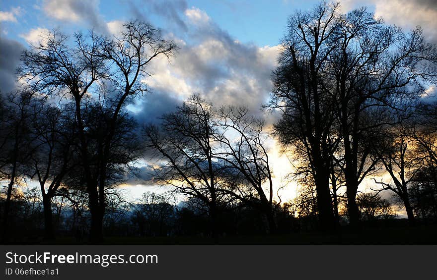 Silhouettes of leafless trees in back light in front of an impressive sky. Silhouettes of leafless trees in back light in front of an impressive sky