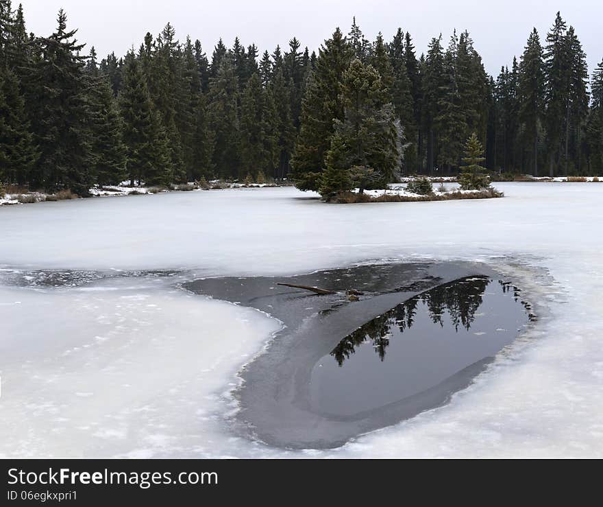 Pond and forest in winter