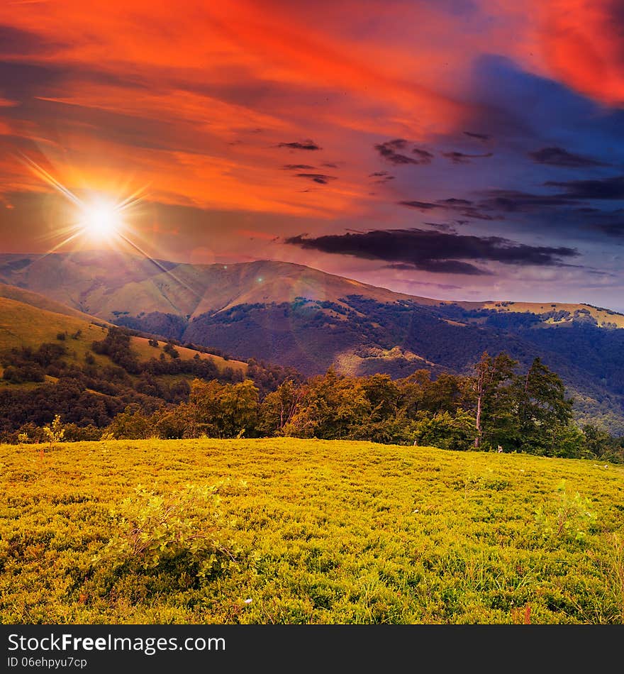 Valley near forest on a steep mountain slope after the rain in evening mood