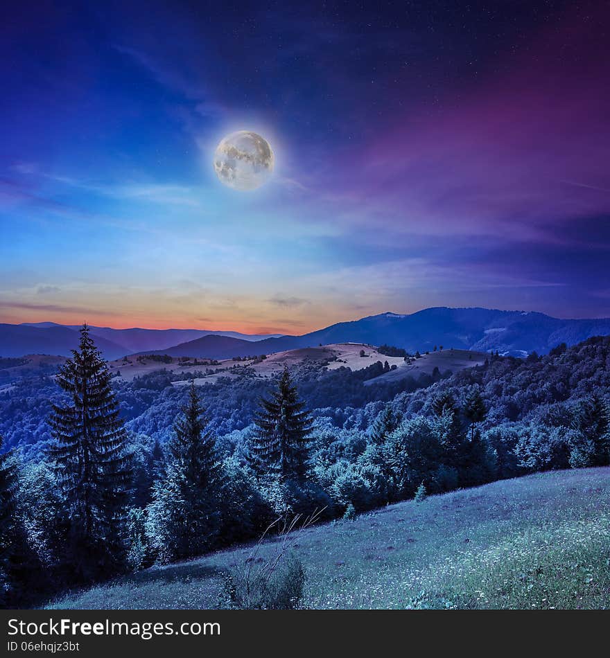 Valley near forest on a steep mountain slope after the rain after sunset