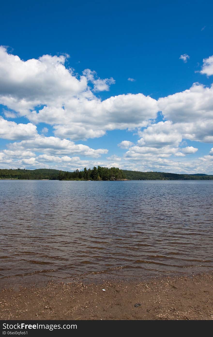 Scenic View Of A Lake And The Forest