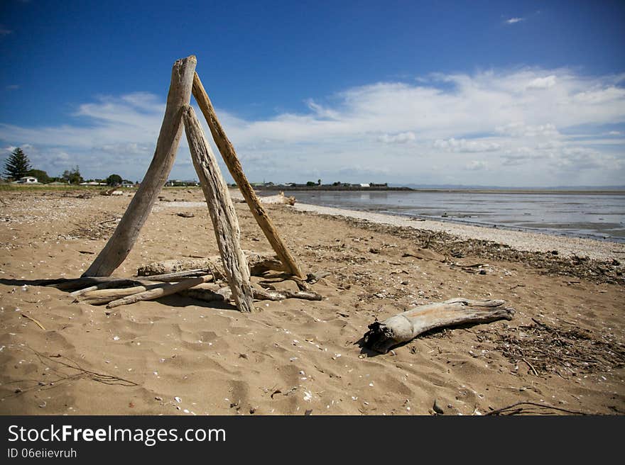 Drift wood on a beach in the Coromandel, New Zealand - travel and tourism. Drift wood on a beach in the Coromandel, New Zealand - travel and tourism.