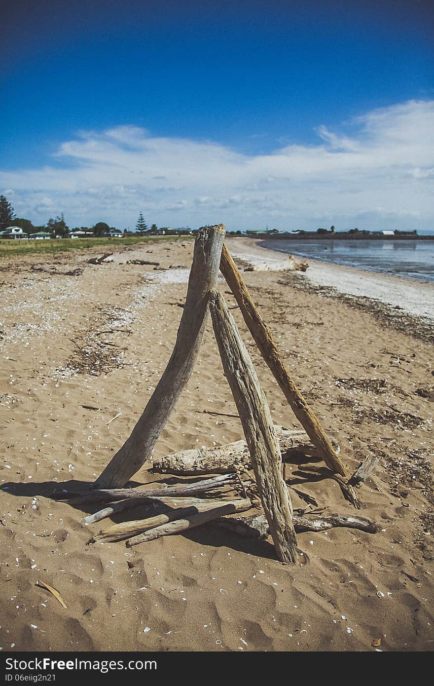 Drift wood on a beach in the Coromandel, New Zealand - travel and tourism. Drift wood on a beach in the Coromandel, New Zealand - travel and tourism.