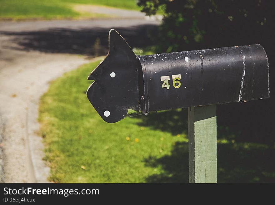 Novelty letter box with a dog - NZ farming image.