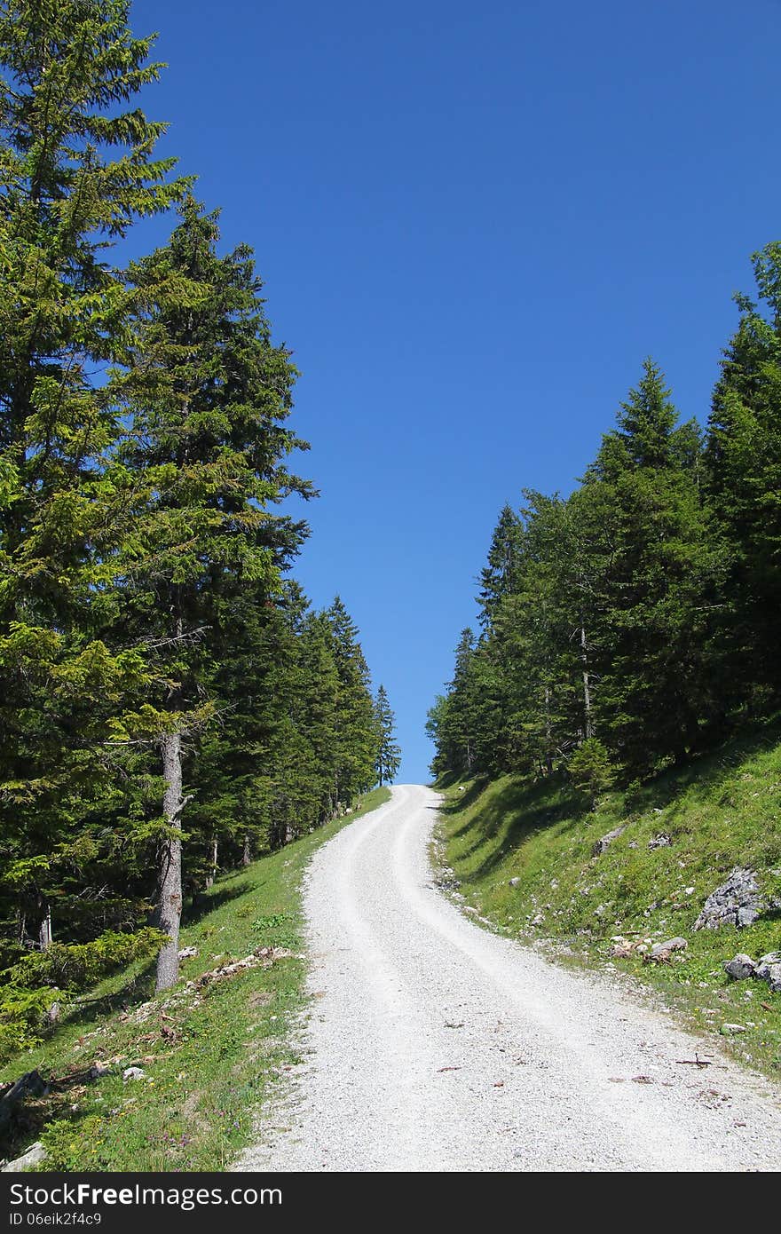 Path through a Bavarian forest landscape, Germany