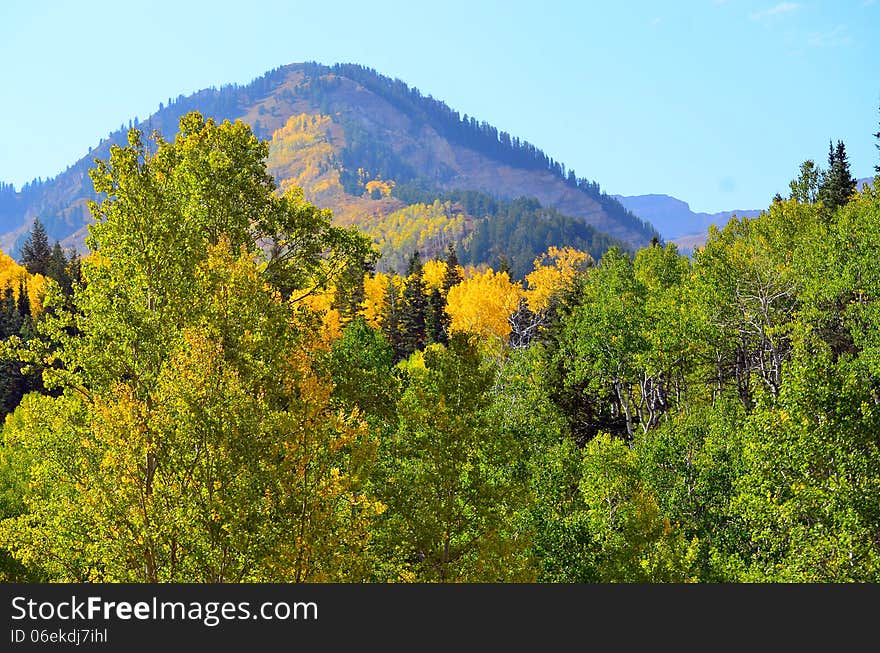 Fall colors frame a mountain scene near Provo, Utah. Fall colors frame a mountain scene near Provo, Utah.