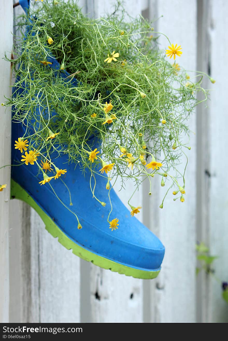 Flowers In Boots