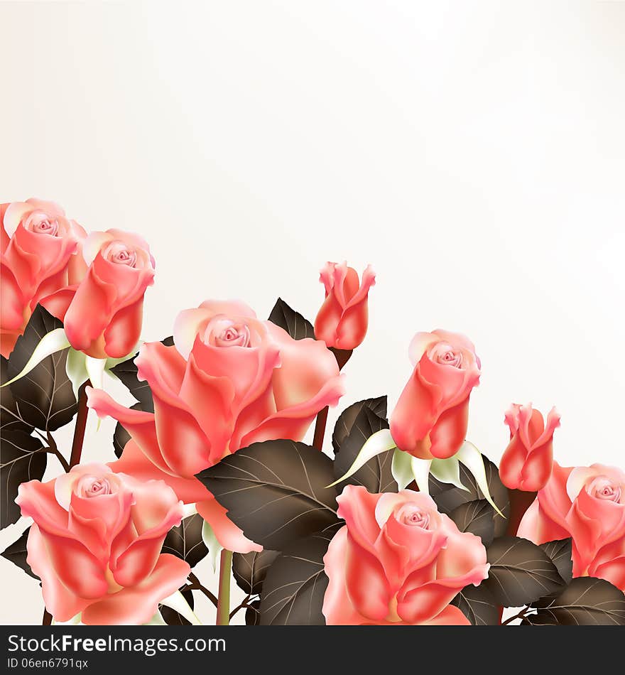 Background With  Pink Roses