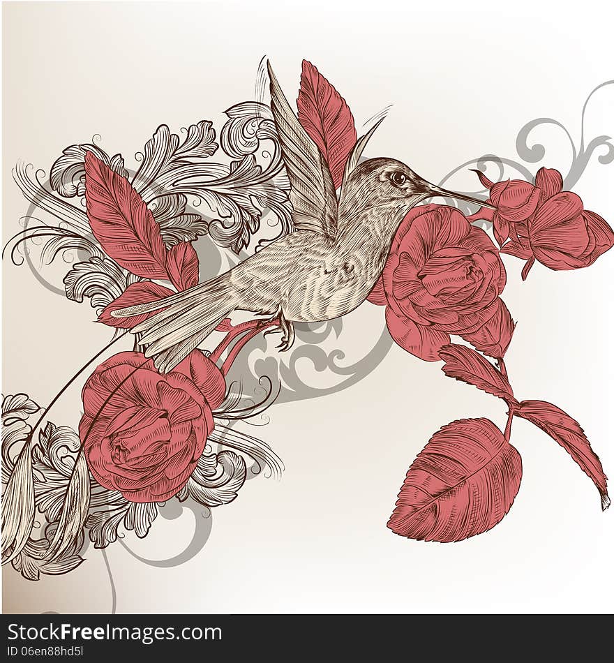 Fashion floral background with humming bird and roses