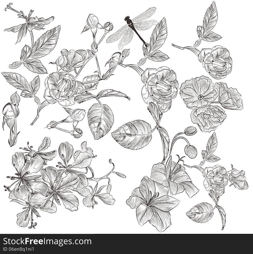 Collection of high detailed flowers for design. Collection of high detailed flowers for design