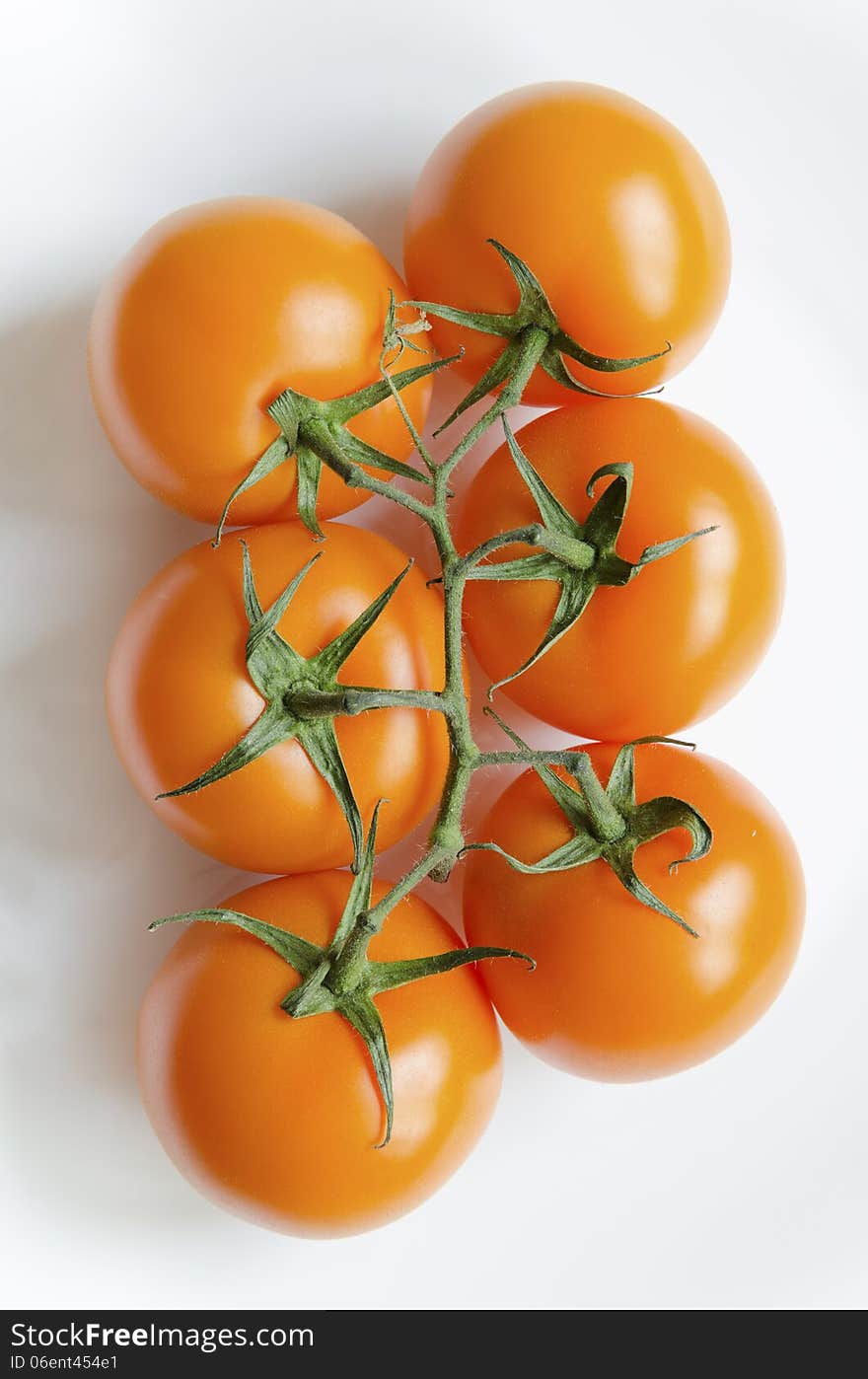 Tomatoes on white