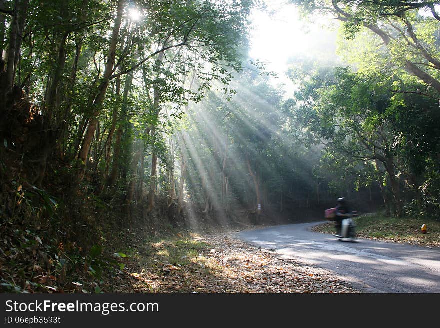 Phosphorescent light that falls on the highway when the vehicle passes in asia