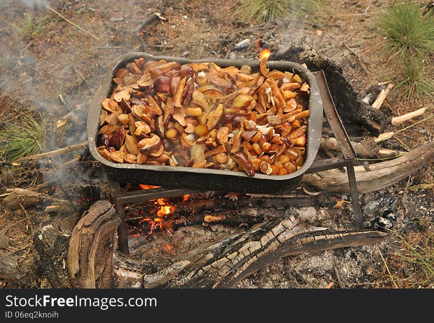 Fried mushrooms.