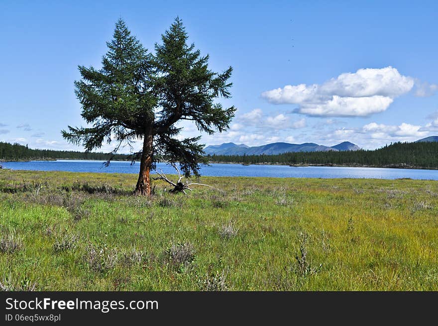 Water summer landscape surrounding the river Suntar in the Highlands of Oymyakon, Yakutia, Russia. Water summer landscape surrounding the river Suntar in the Highlands of Oymyakon, Yakutia, Russia.