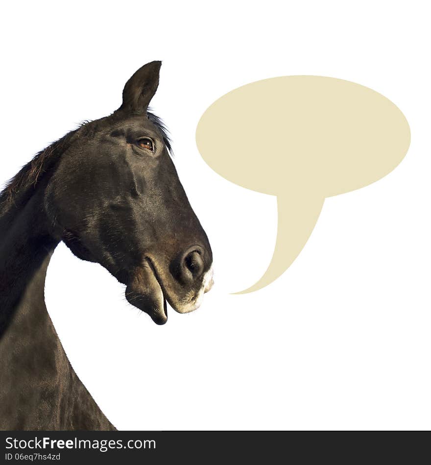 Horse with speaking cloud on white background