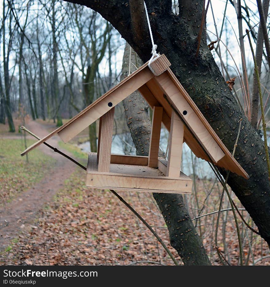 The wild birds feeder, hanging on a tree, against a path and a pond