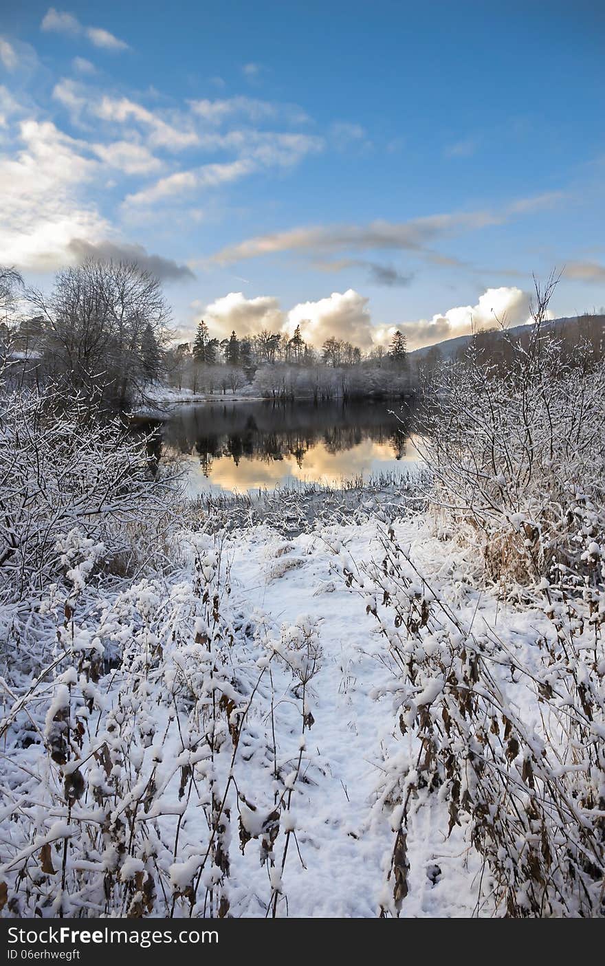 Winter Scene With Lake