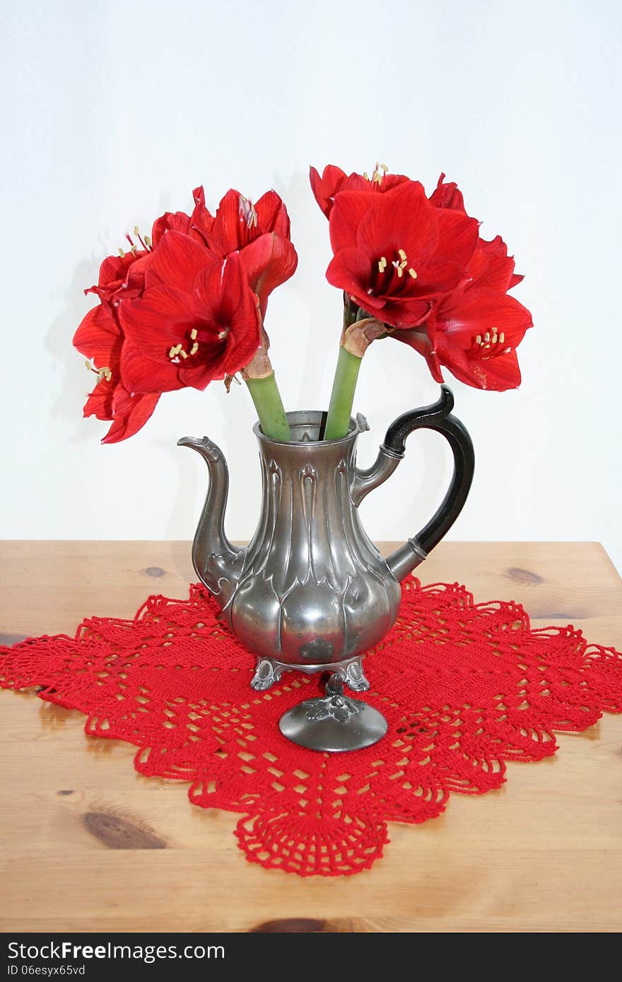 Pewter can with red Amaryllis