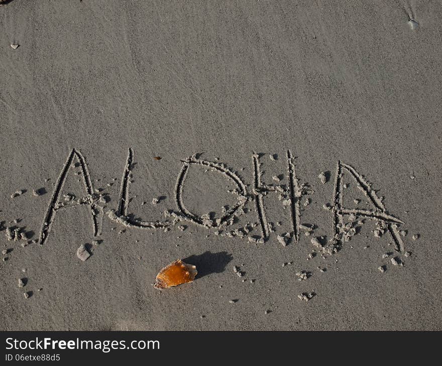 Aloha on the beach with a lonely shell.