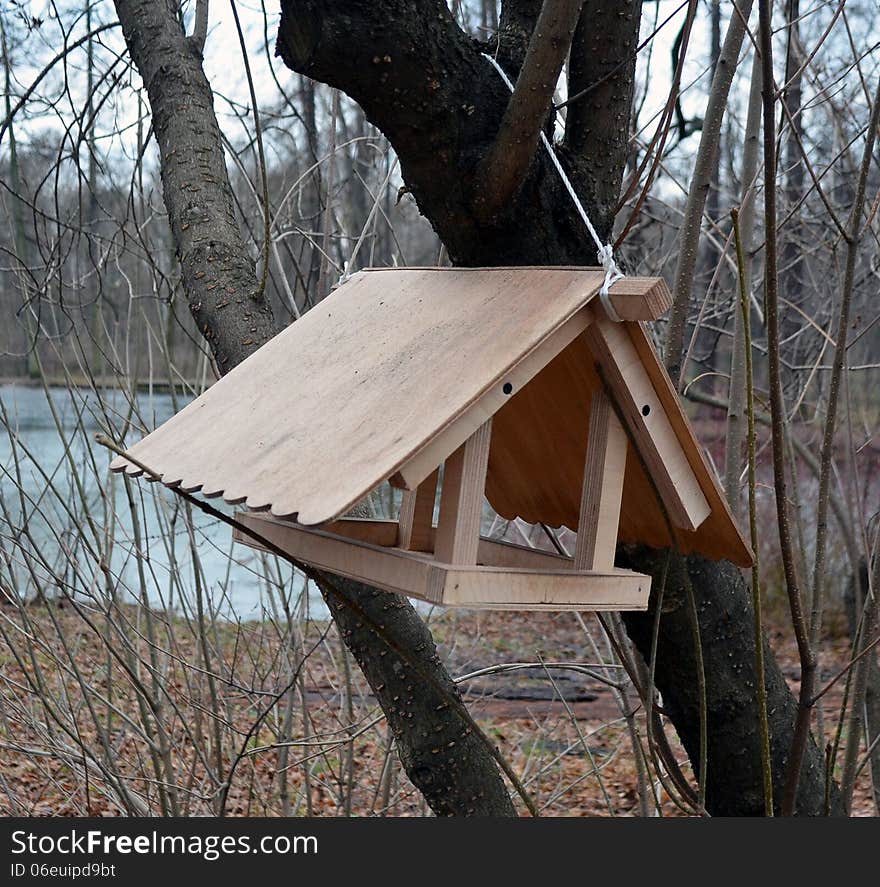 The wild birds feeder, hanging on a tree, against a path and a pond