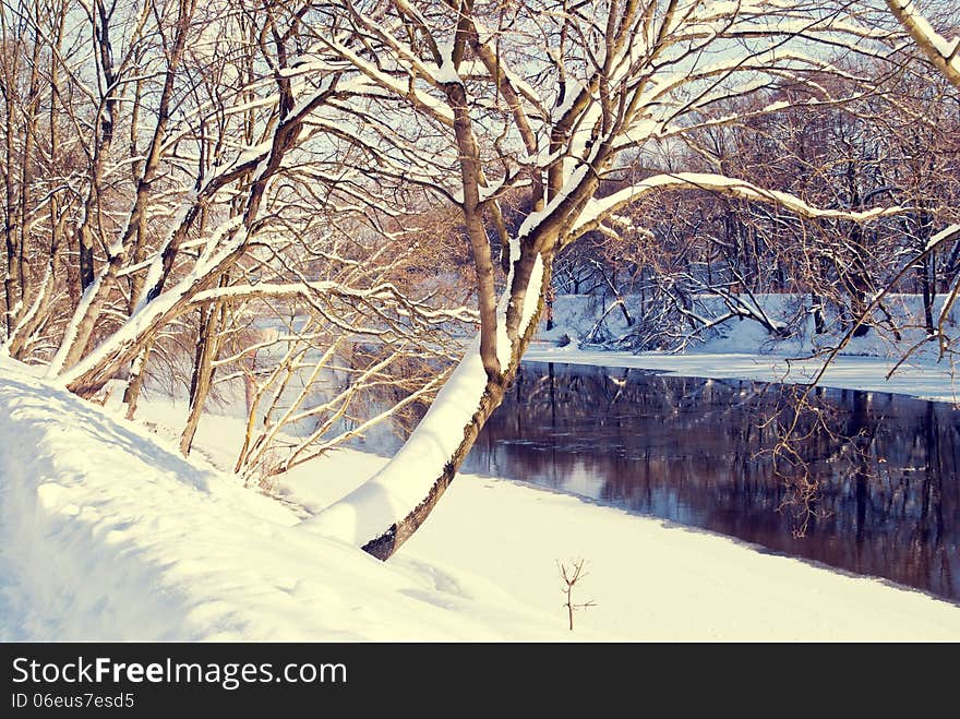 River and trees in winter covered with snow. River and trees in winter covered with snow.