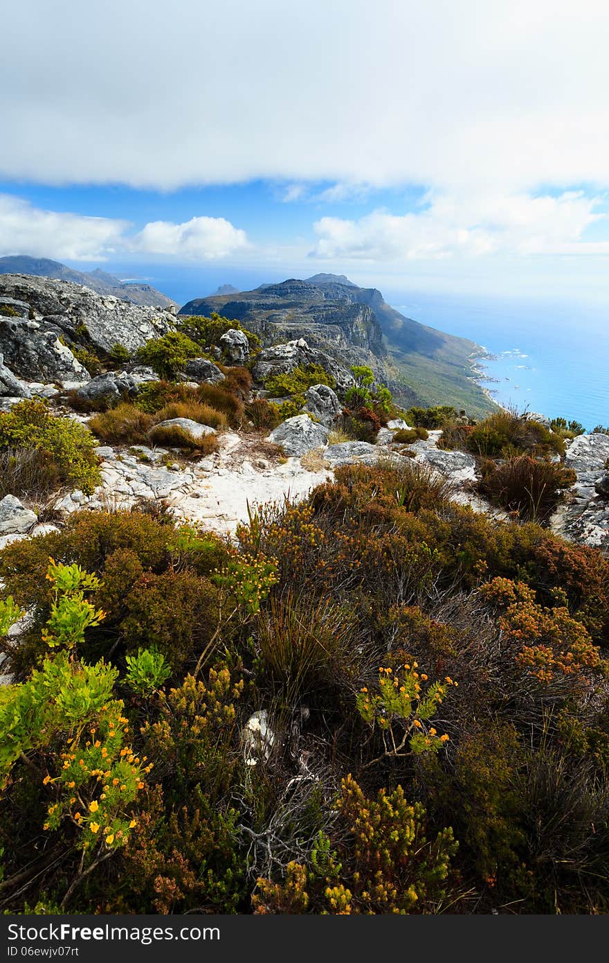 Rock and Landscape on Top of Table Mountain, Cape Town, South Africa