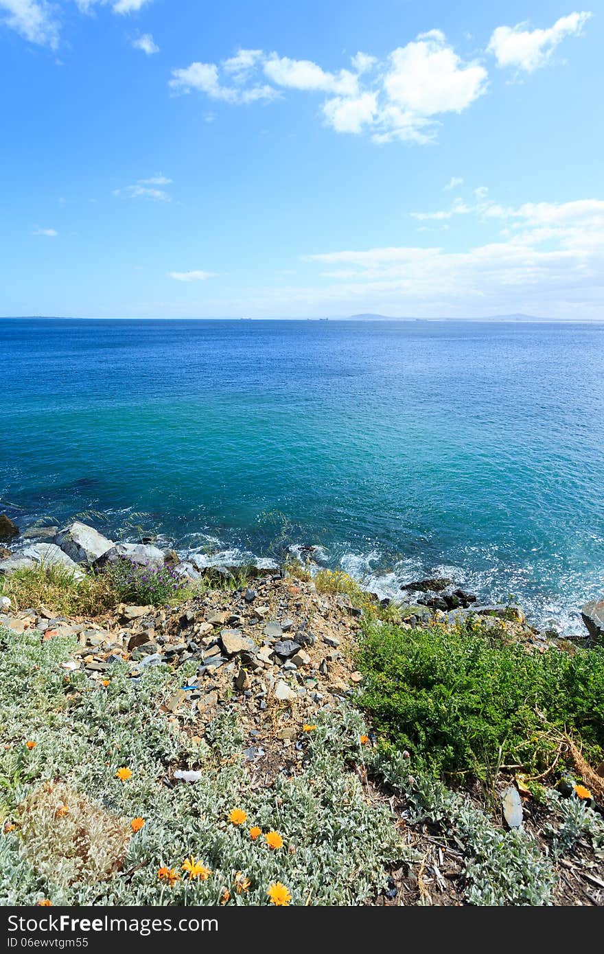 Deep blue sea and beautiful flowers on the coastline