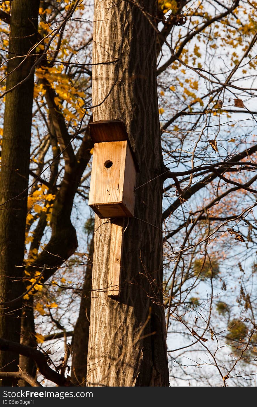 Small wooden bird house on the tree, between yellow leaves and branches. Small wooden bird house on the tree, between yellow leaves and branches