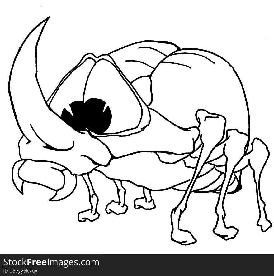 Outline drawing gay bug with big kind eyes. Outline drawing gay bug with big kind eyes