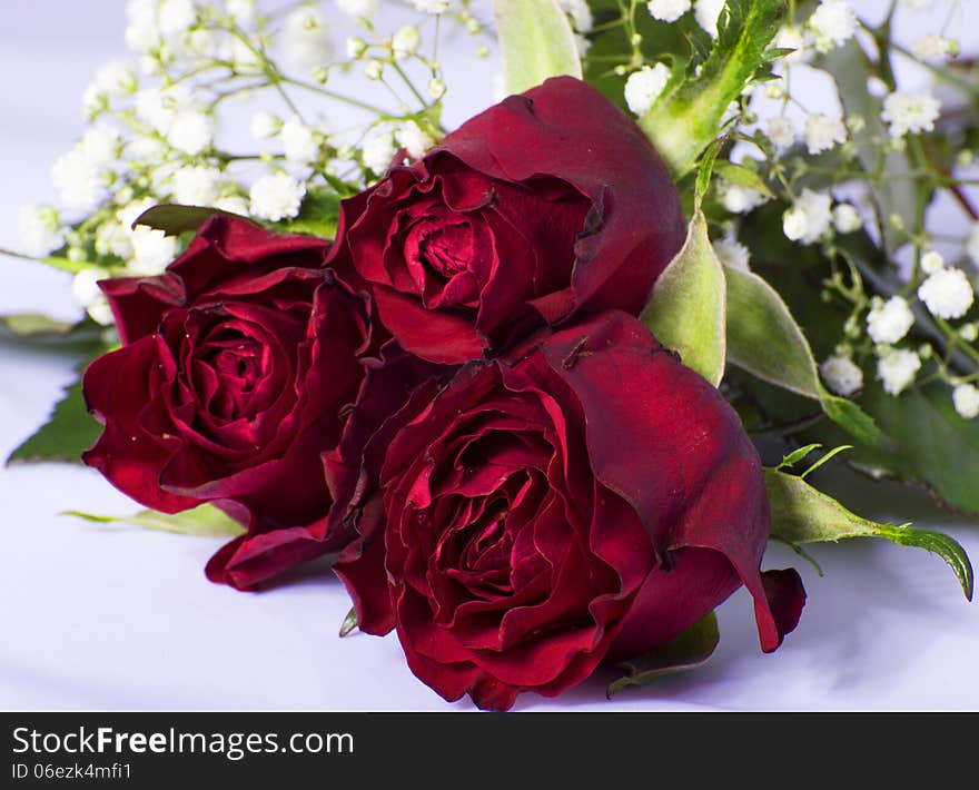 Bouquet of red roses on a white background