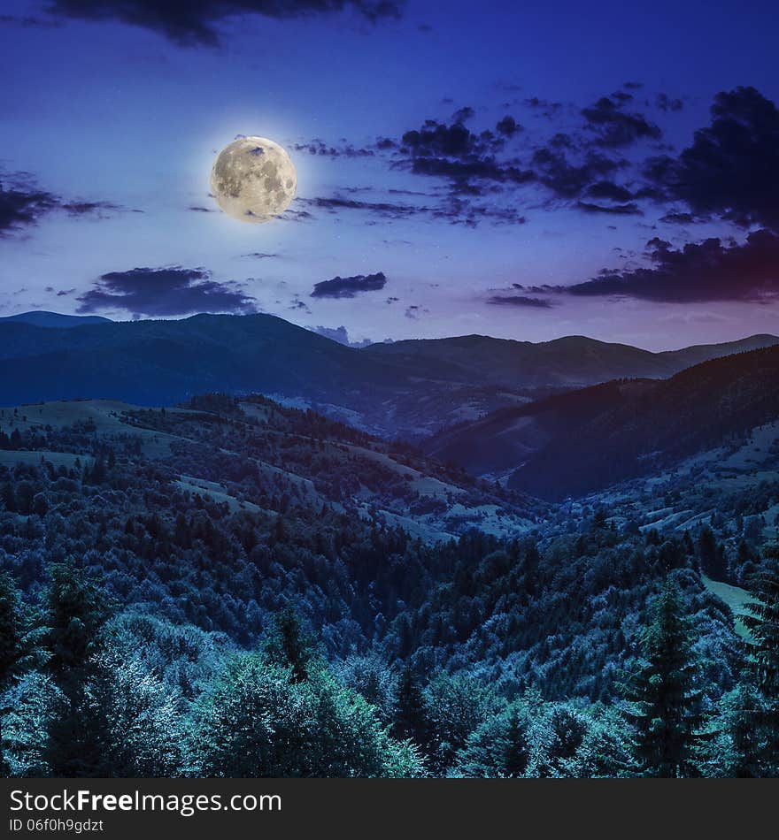 Coniferous Forest On A Mountain Slope At Night