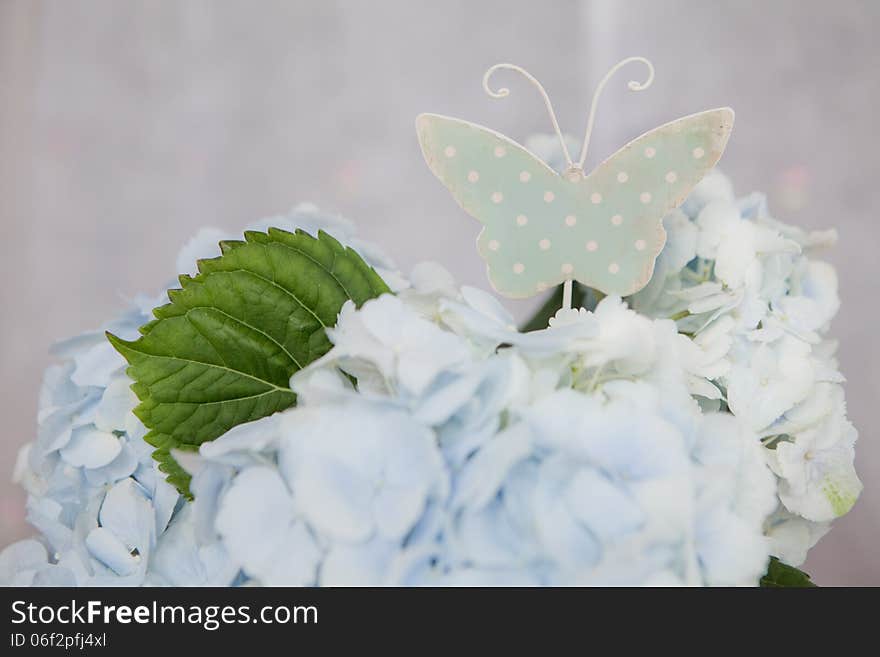 Pink flowers in blue bucket on floor. Pink flowers in blue bucket on floor