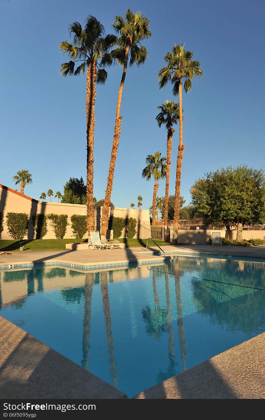 A calm pool with many palm trees around it with reflection. A calm pool with many palm trees around it with reflection