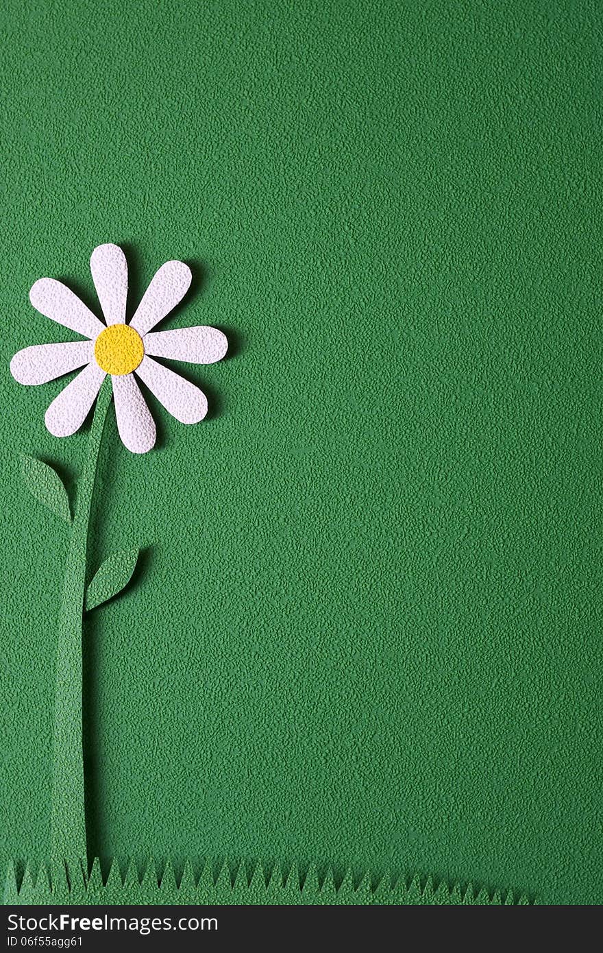 Daisy flower on green grass background