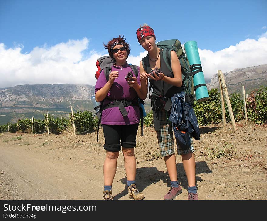 In the valley where the grapes are grown